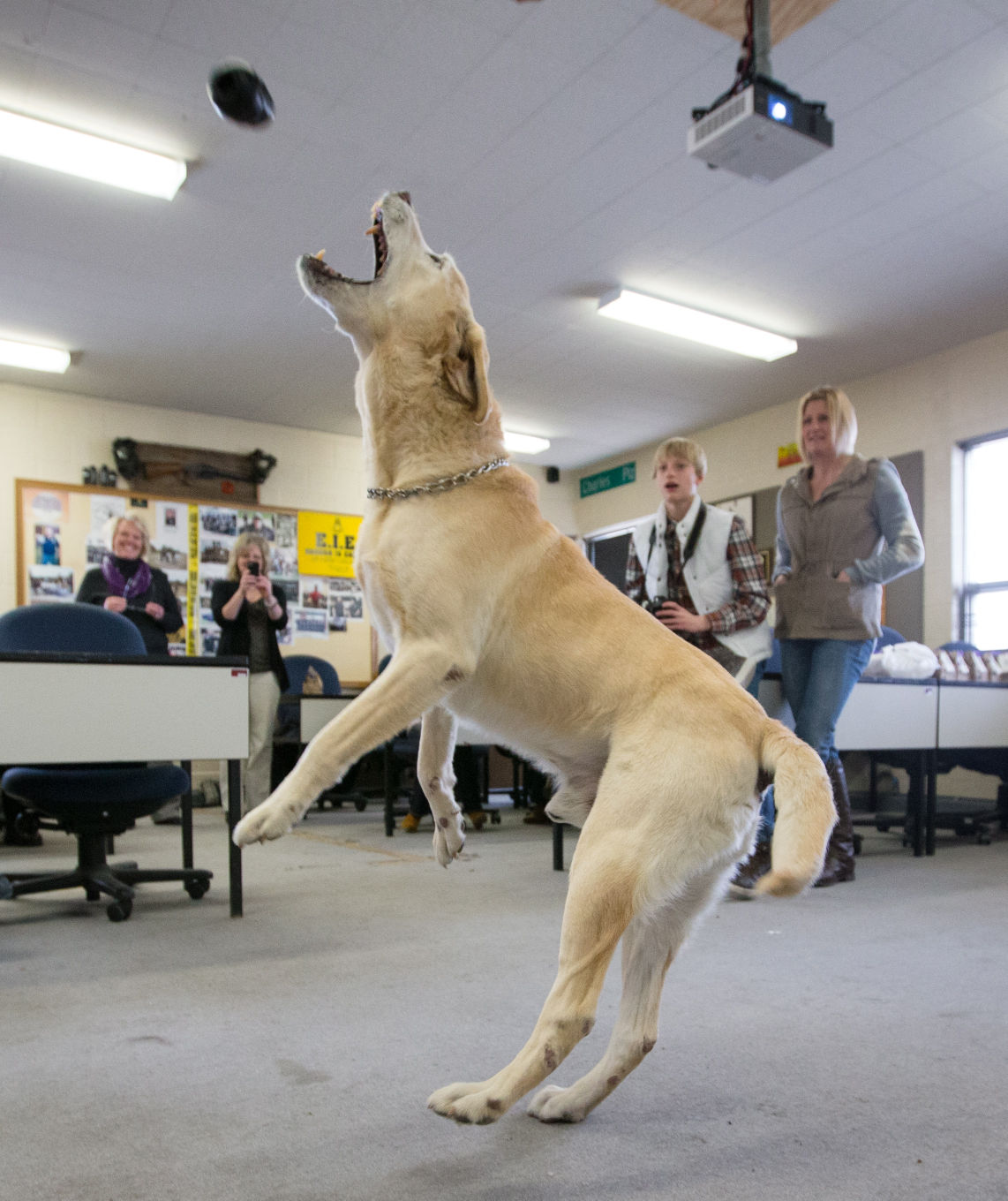 Police Dog Retirement